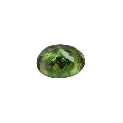 Paraiba 3.60 ct IGNEOUS Edelsteine