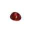 Spessartin 5.67 ct