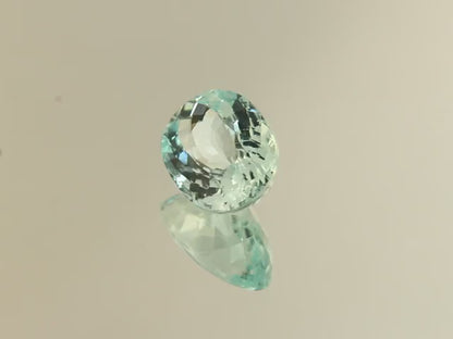 Paraiba 8.76 ct