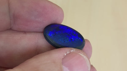 Black Opal 10.69 ct